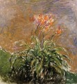 Hamerocallis Claude Monet impressionistische Blumen